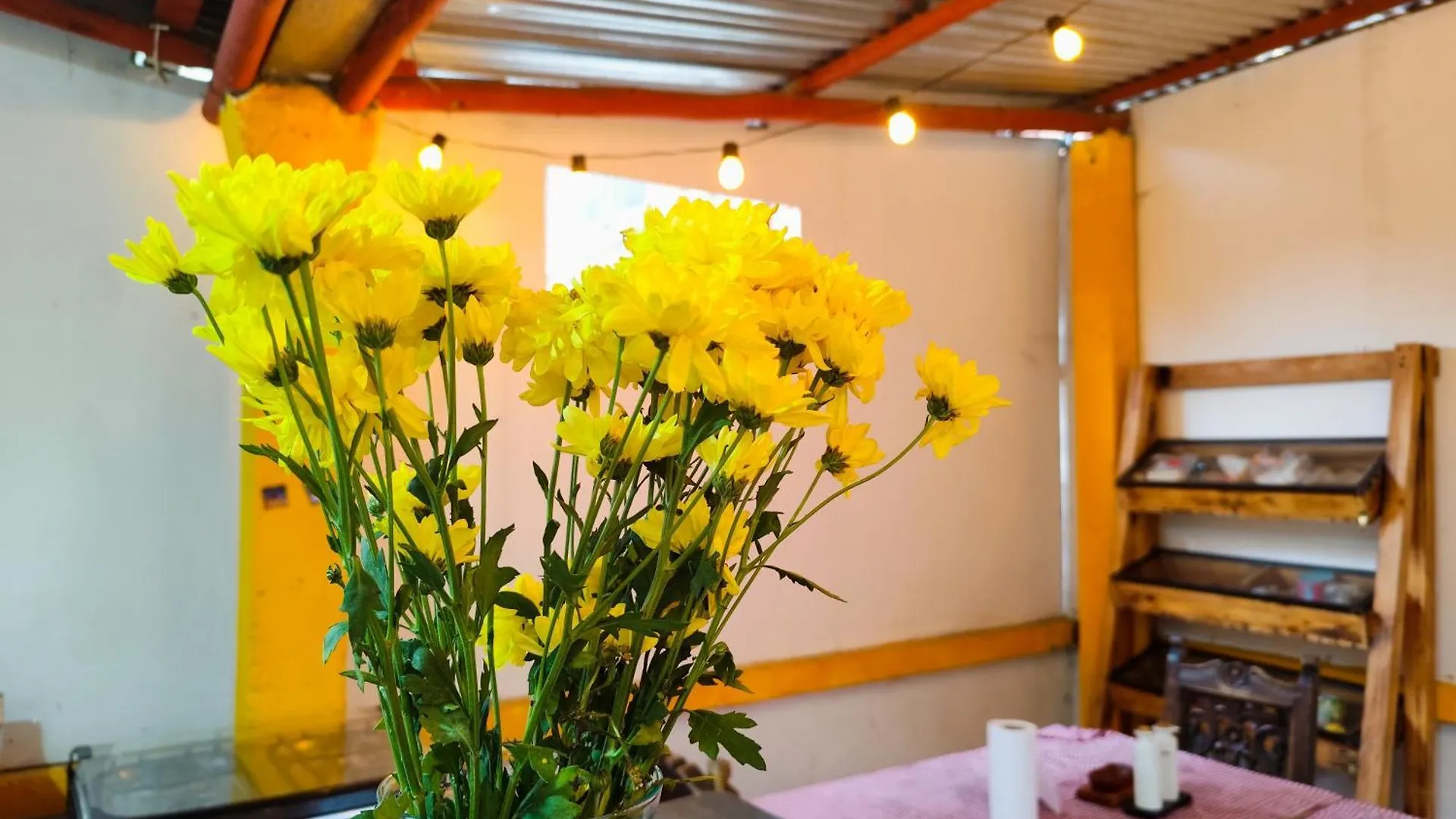 招待所 Mico Loco Casa Hostal 波哥大